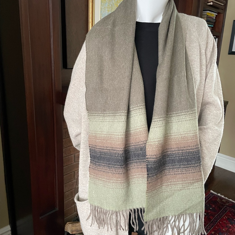 Cashmere V. FRAAS German Wool Scarf in Earth Tones - LMar29